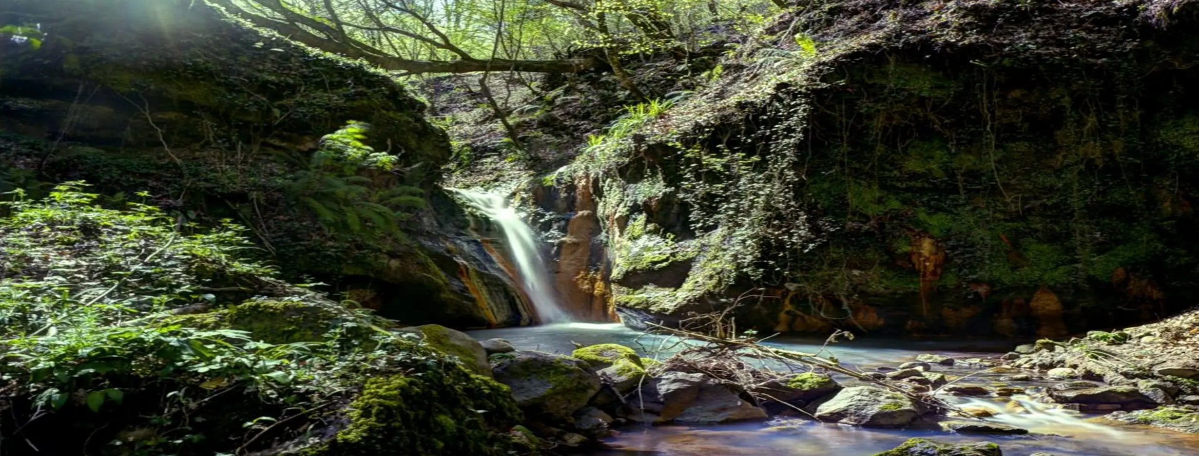Image for Monte Arci Nature Reserve
